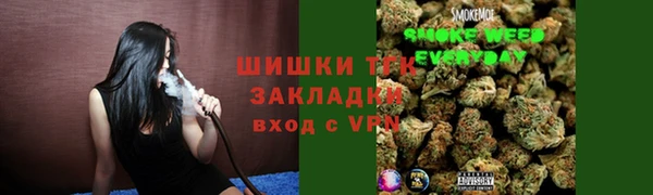 молекула духа Арсеньев