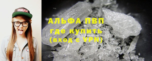 молекула духа Арсеньев