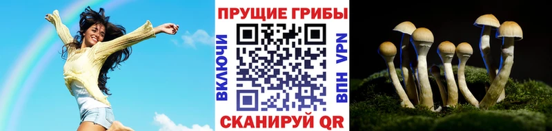 Псилоцибиновые грибы ЛСД  Очёр 
